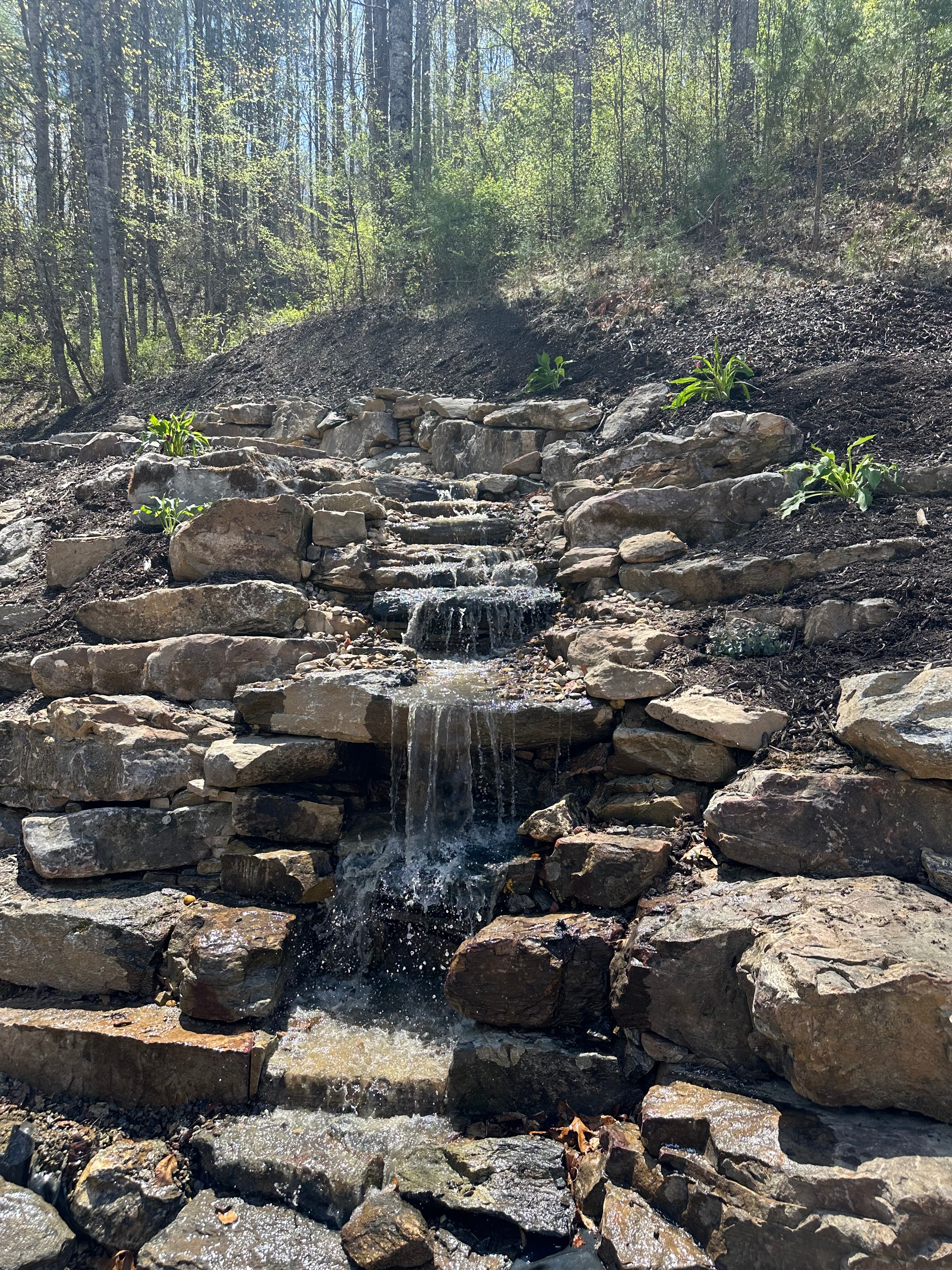 Backyard Waterfall