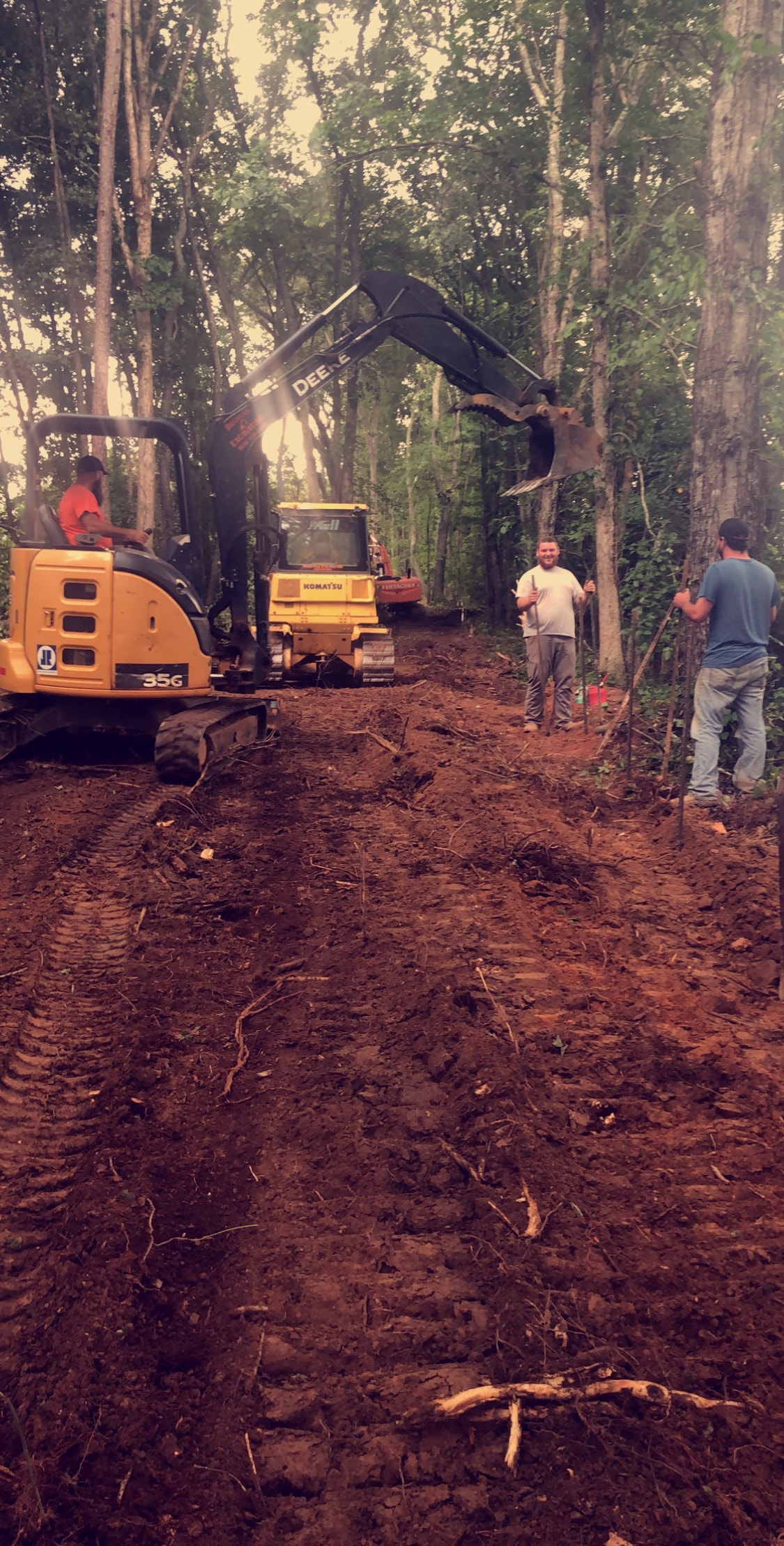 Forest Path Clearing